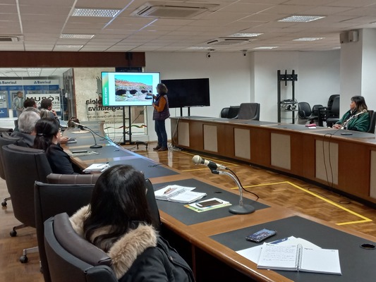 A pesquisadora em geocincias, Magda Bergmann, apresentou o Projeto Modelo Prospectivo para Ametista e gata na Fronteira Sudoeste do Rio Grande do Sul aos presentes